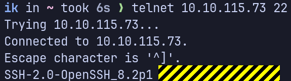 flag hidden in the SSH server header